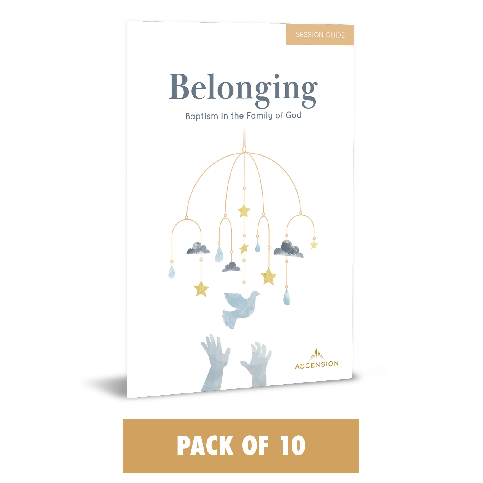 Belonging: Baptism in the Family of God, Session Guide - Image 10